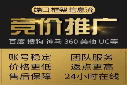 百度竞价代理实战技巧：经典案例深度解读