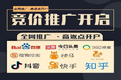 百度SEO推广公司案例分享：行业佼佼者经验